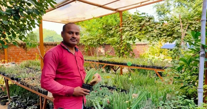 Gardening in UP