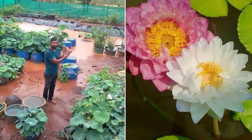 Gardengiri