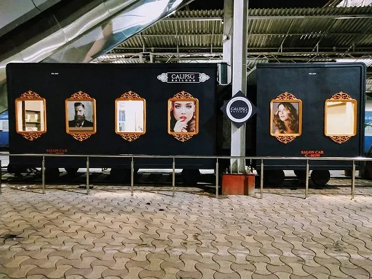 publive-image