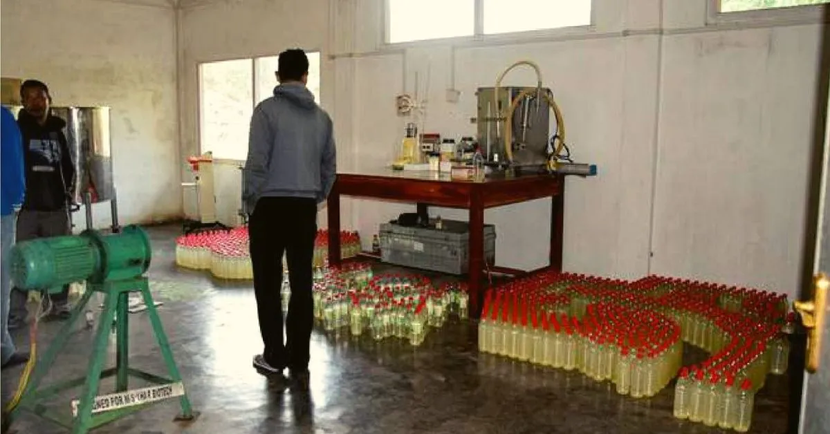 Aloe Vera Farming