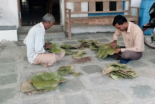 Gujarat Doctor