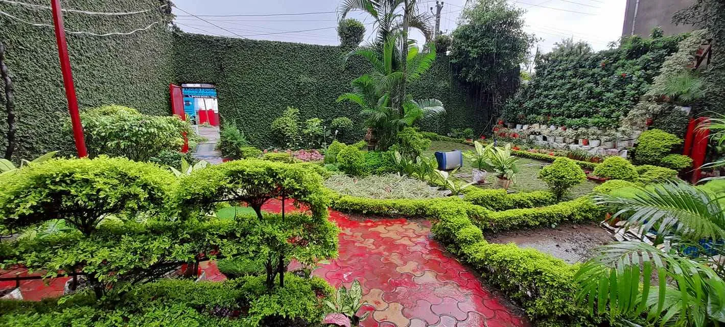 Jharkhand Couple Giving Plants