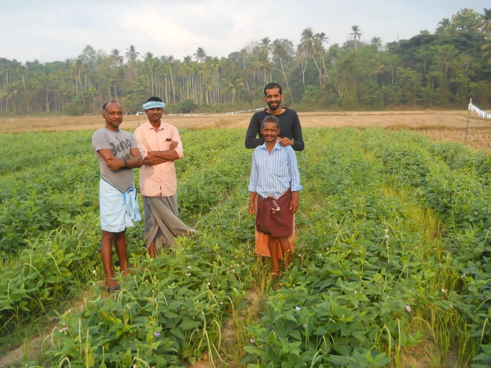 Organic Farming 