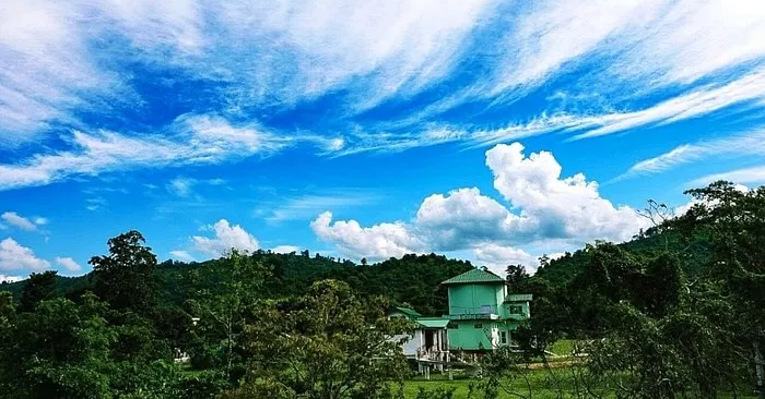 Assam IFS