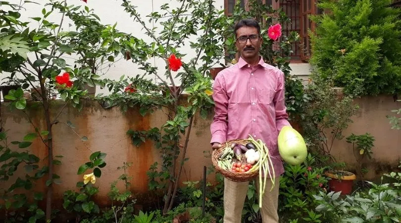 Bengaluru Man Growing Vegetables