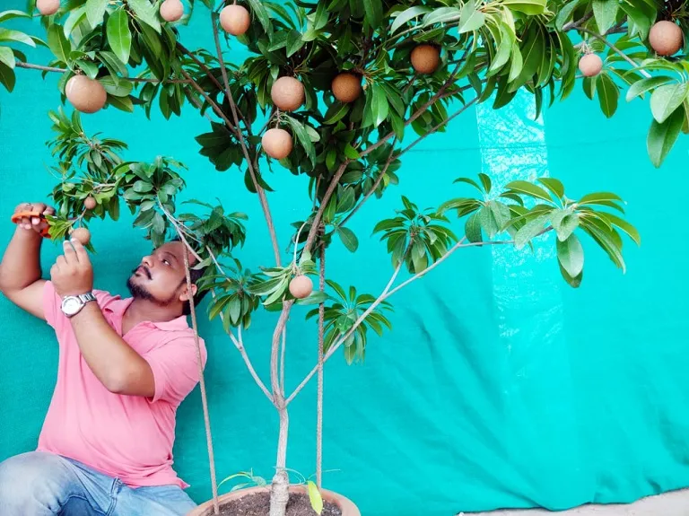 Terrace Gardening in Bhopal