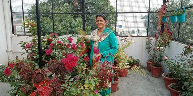 UP Teacher 