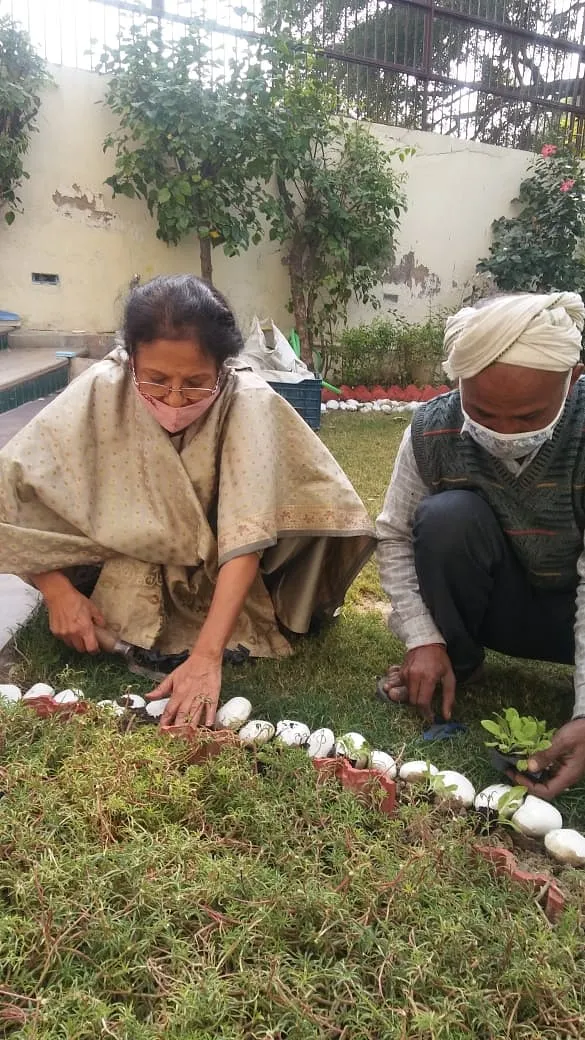 Delhi Grandmother Transformed Dump Yard 