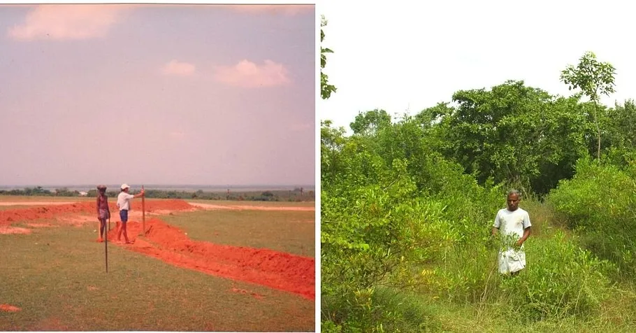 Tamilnadu Man Planted Forest