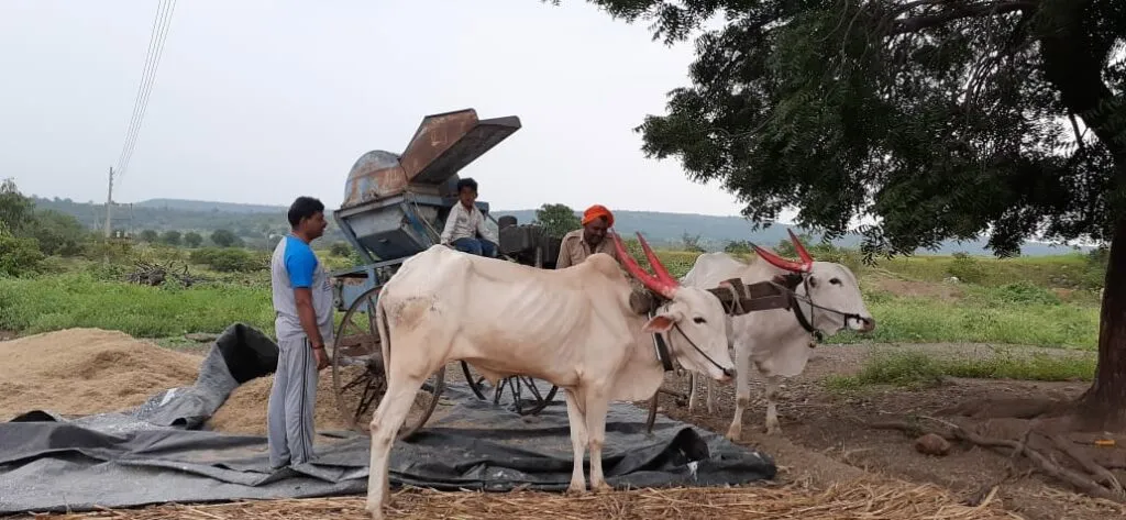 Farmer's brand 