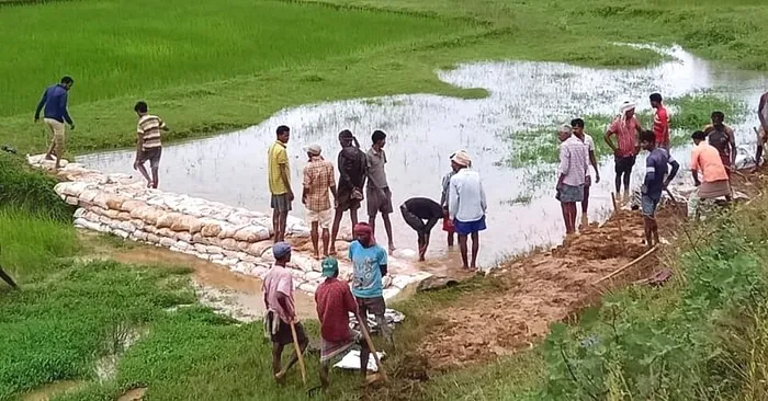 Innovative Check Dams