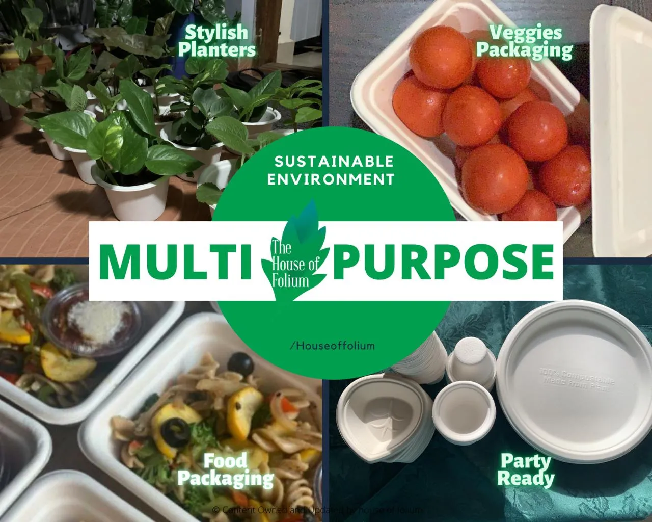 Eco friendly Startup