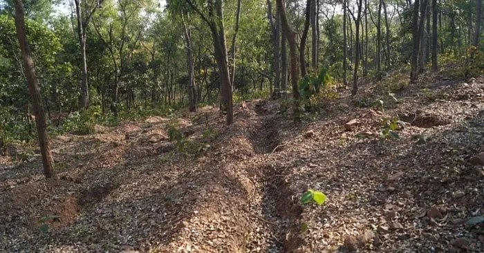 West Bengal
