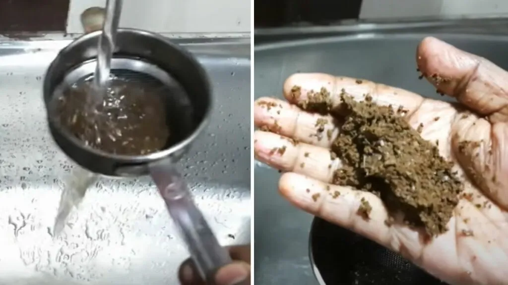Make Tea Compost