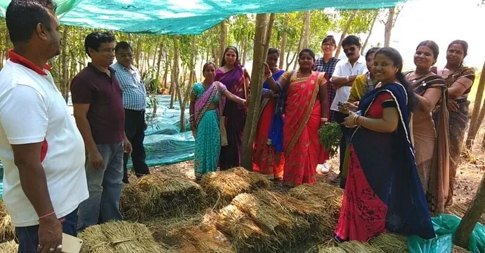 Odisha Farmer