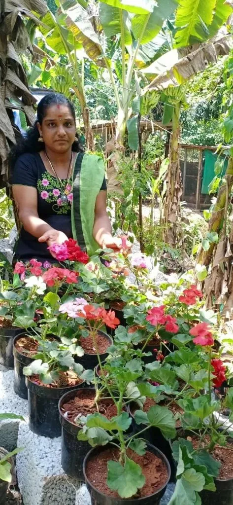 selling rose