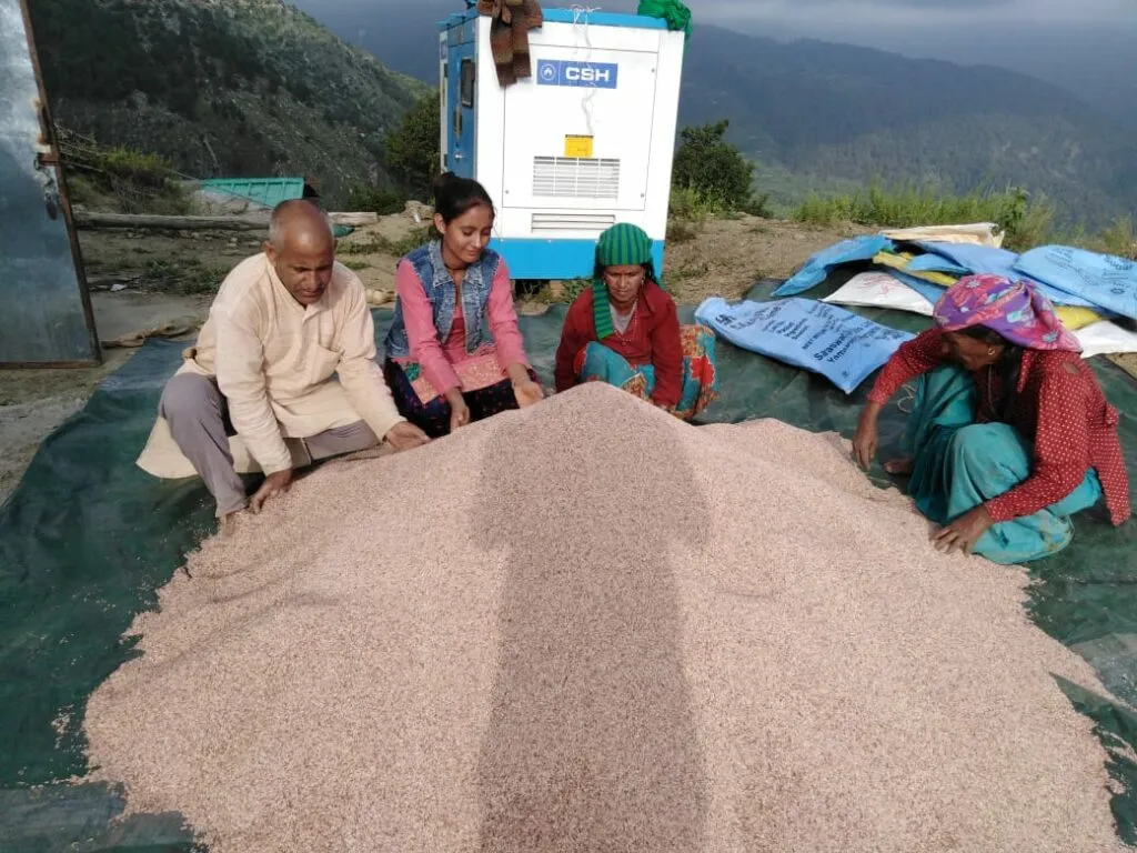 Processing Produce