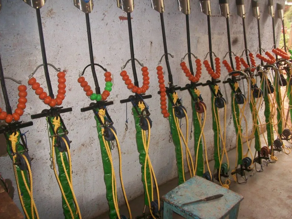 Areca nut Harvesting Machine