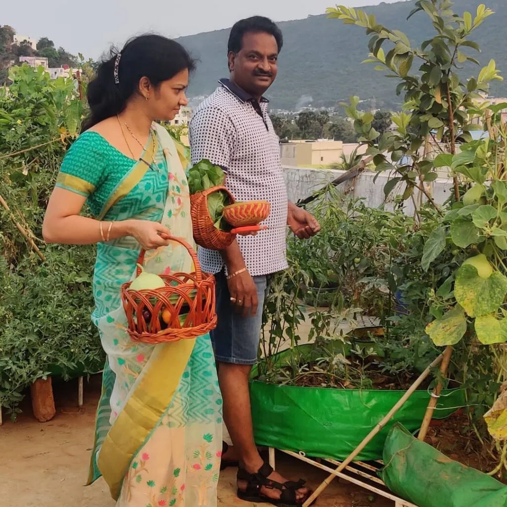 Terrace Gardening