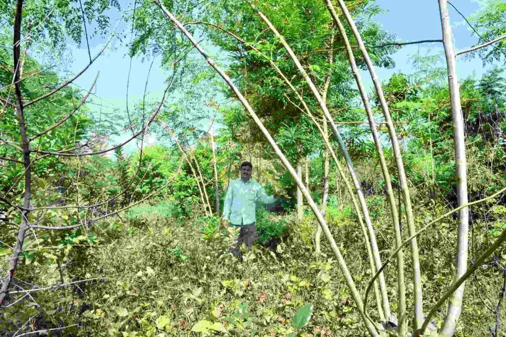 Karnataka Farmer 