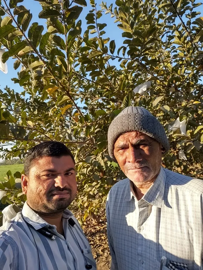 Guava Farmingby Magan Kamariya
