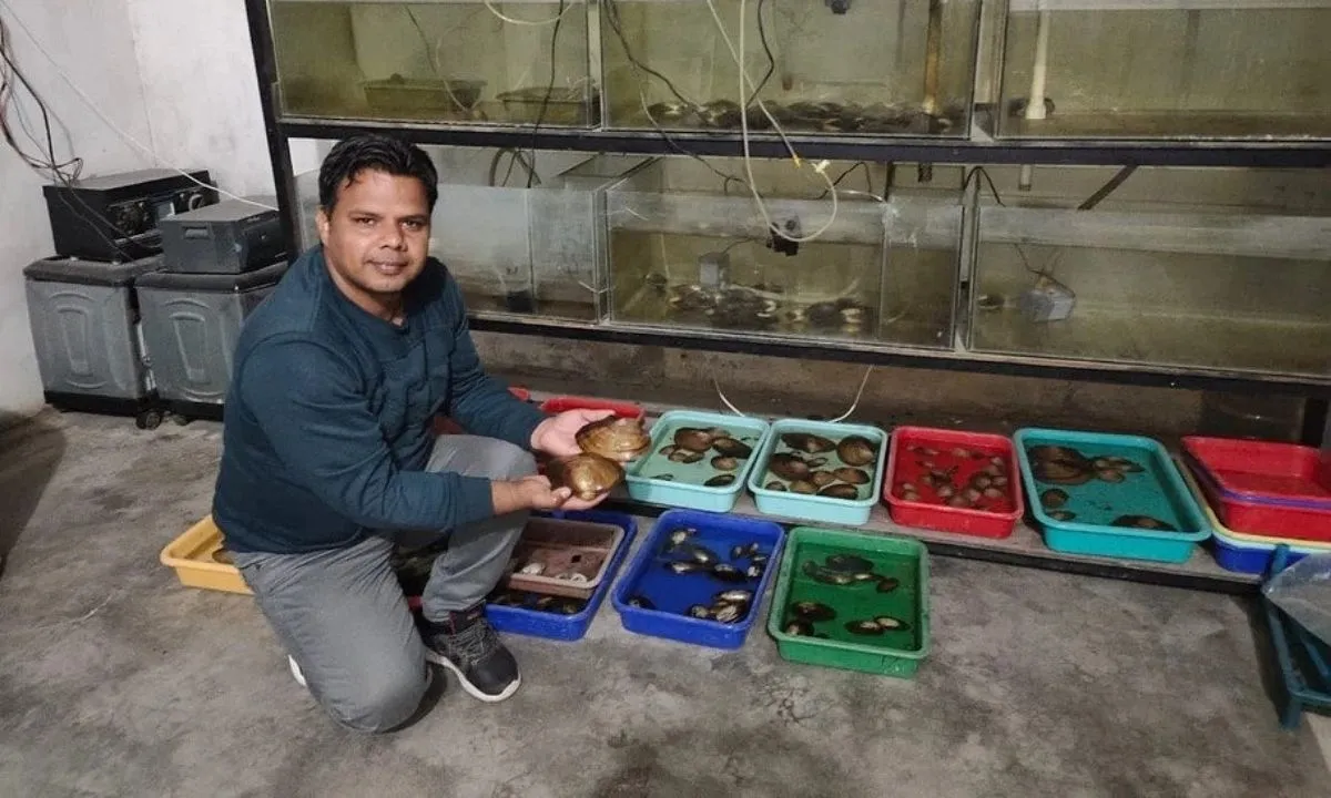 Jitendra Chaudhary doing pearl farming in UP, Ghaziabad