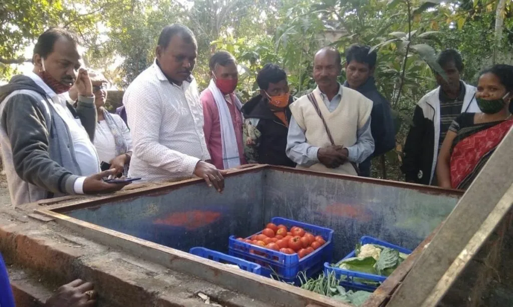 Sabji Cooler to store vegetables 