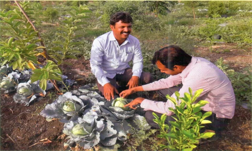 Successful Farmer
