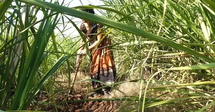 Inspiring Woman Farmer
