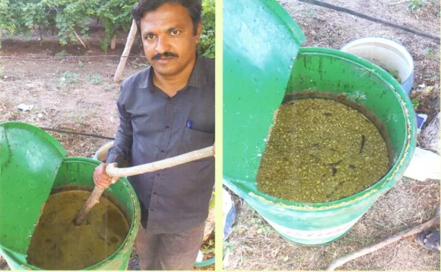 Organic Farming