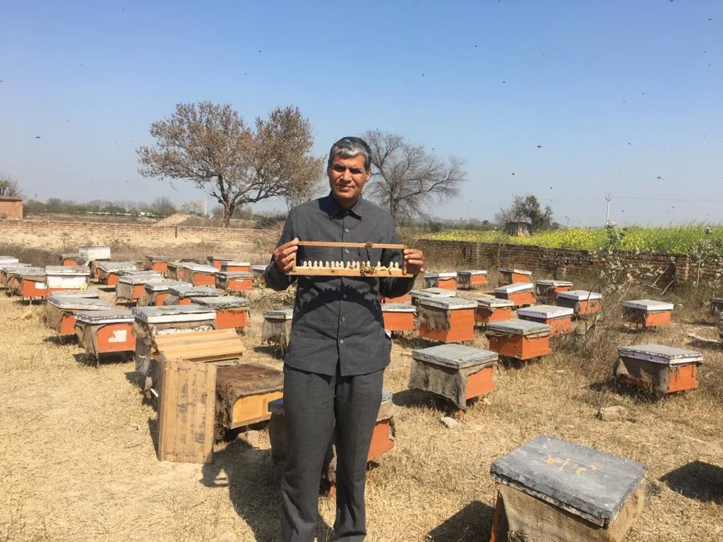 Beekeeping