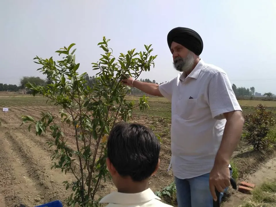 Natural Farming