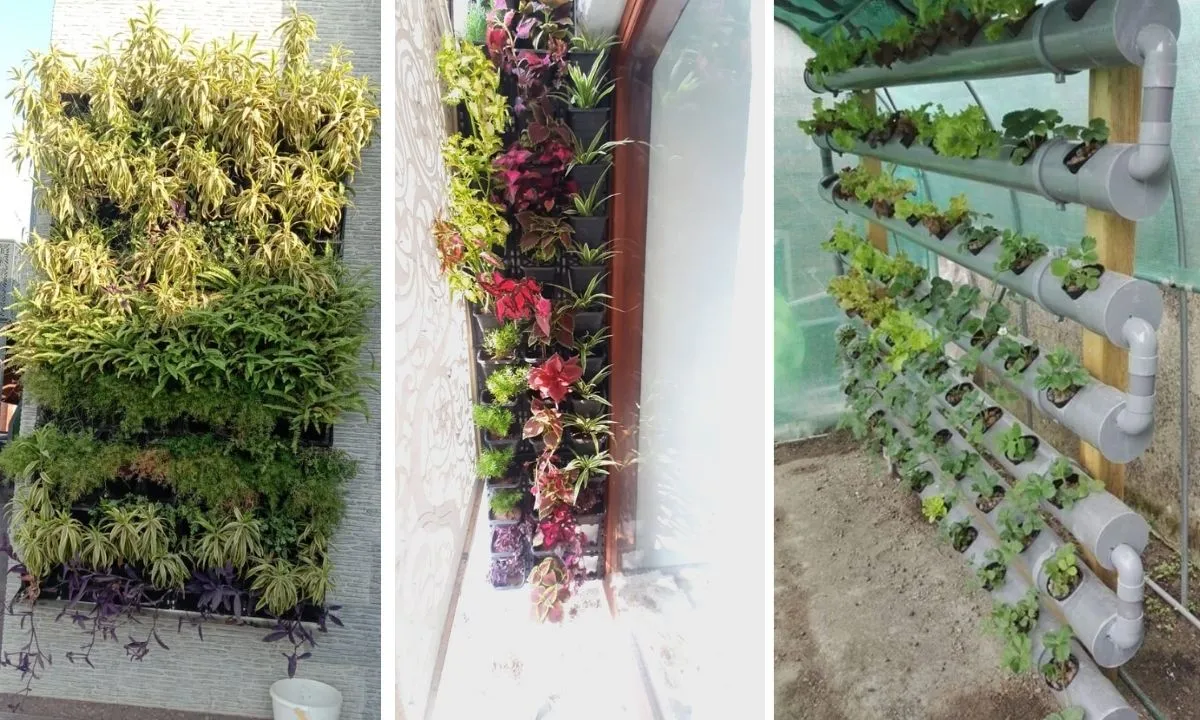 Organic Farming