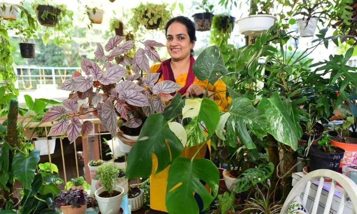 Summer Gardening Tips
