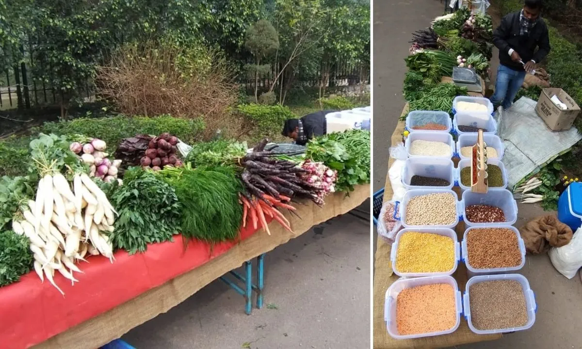 Natural Farming