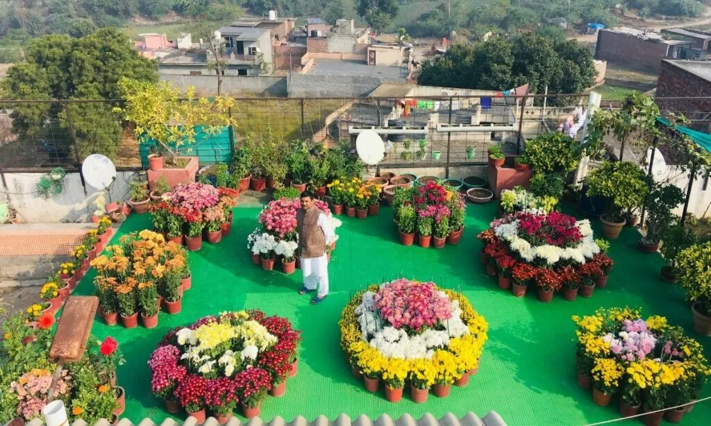 Rooftop Garden