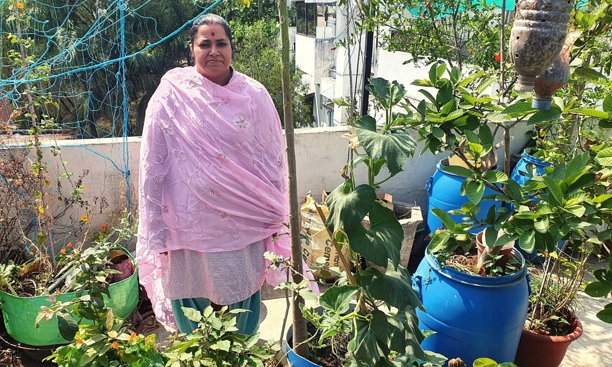 Rooftop Gardening
