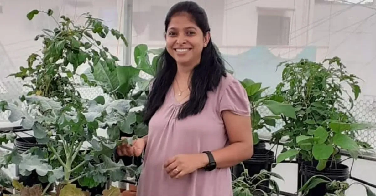 Hydroponic And Aquaponic Farming