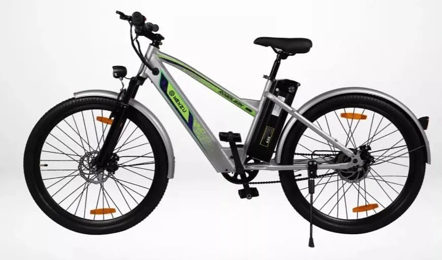 EV Startup