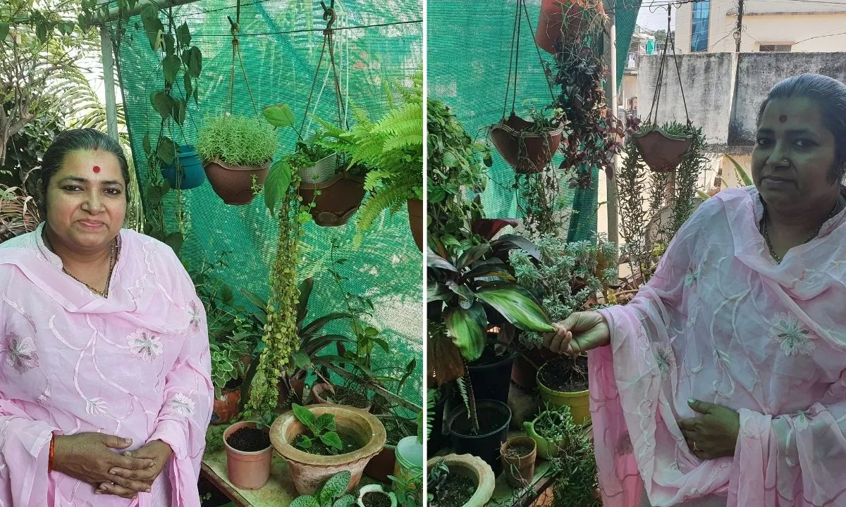 Rooftop Gardening