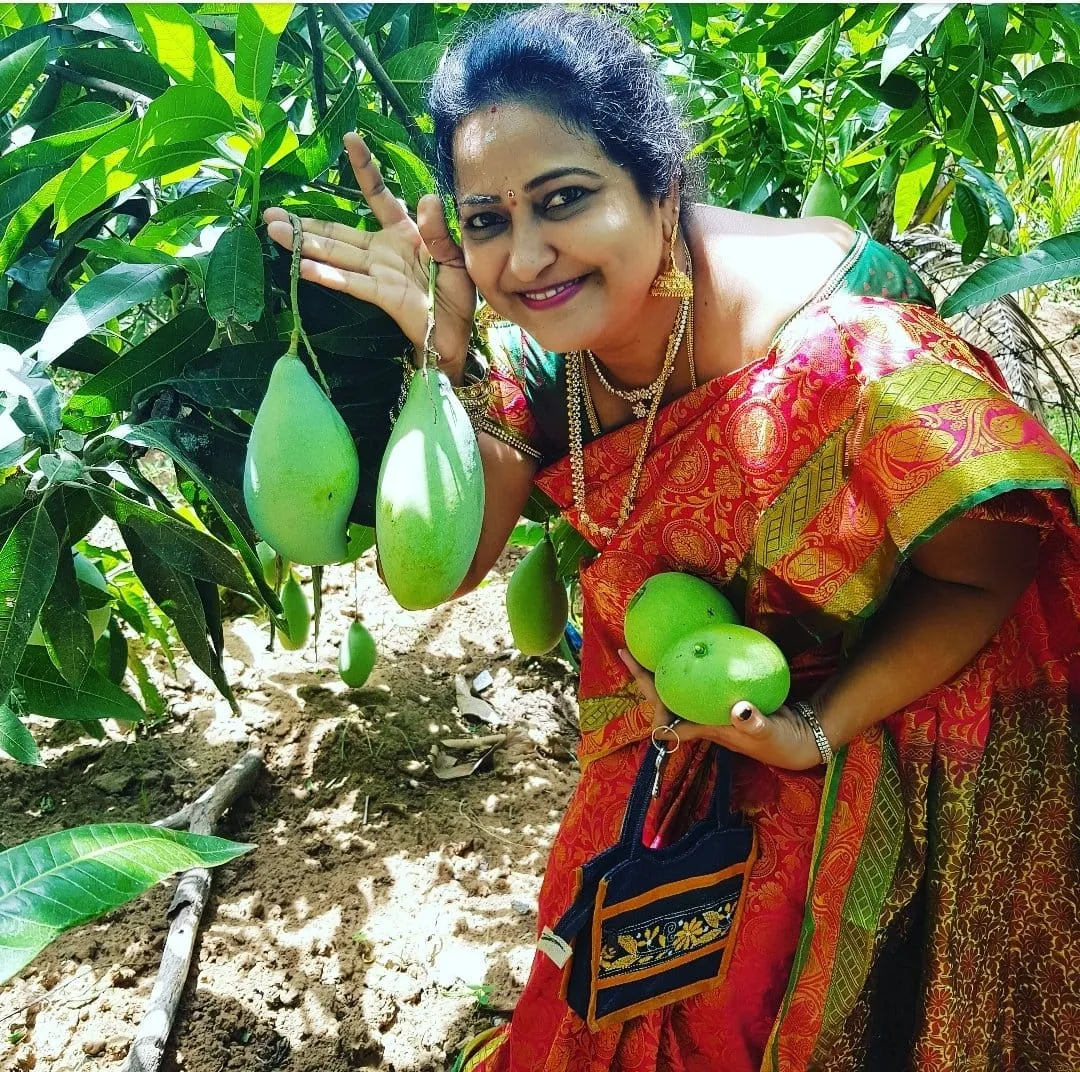 kitchen garden