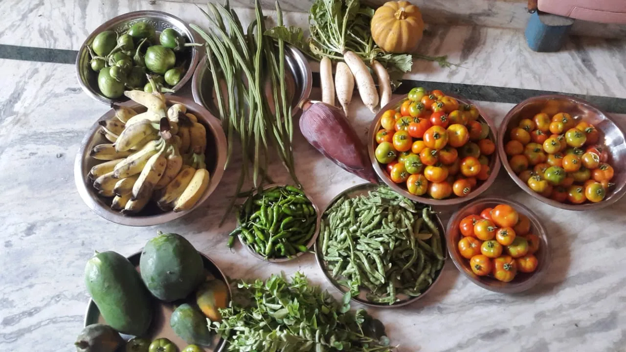 vegetables from kitchen garden