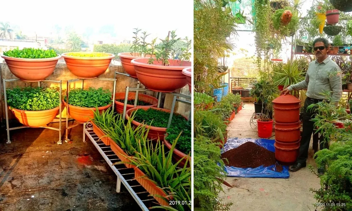 Punjab Man Growing Plants
