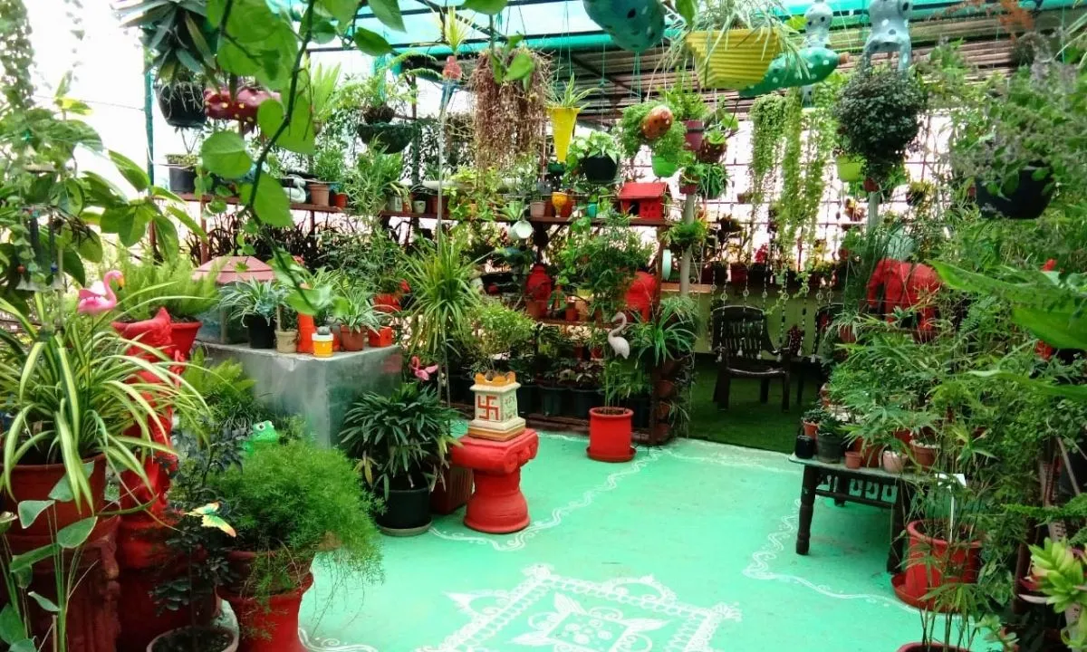 Punjab Man Growing Plants