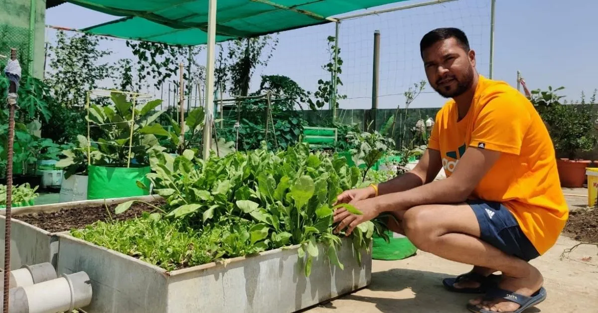 How To Grow Okra