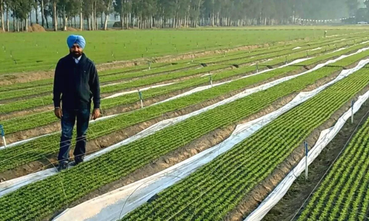 Haryana Nursery Farmer
