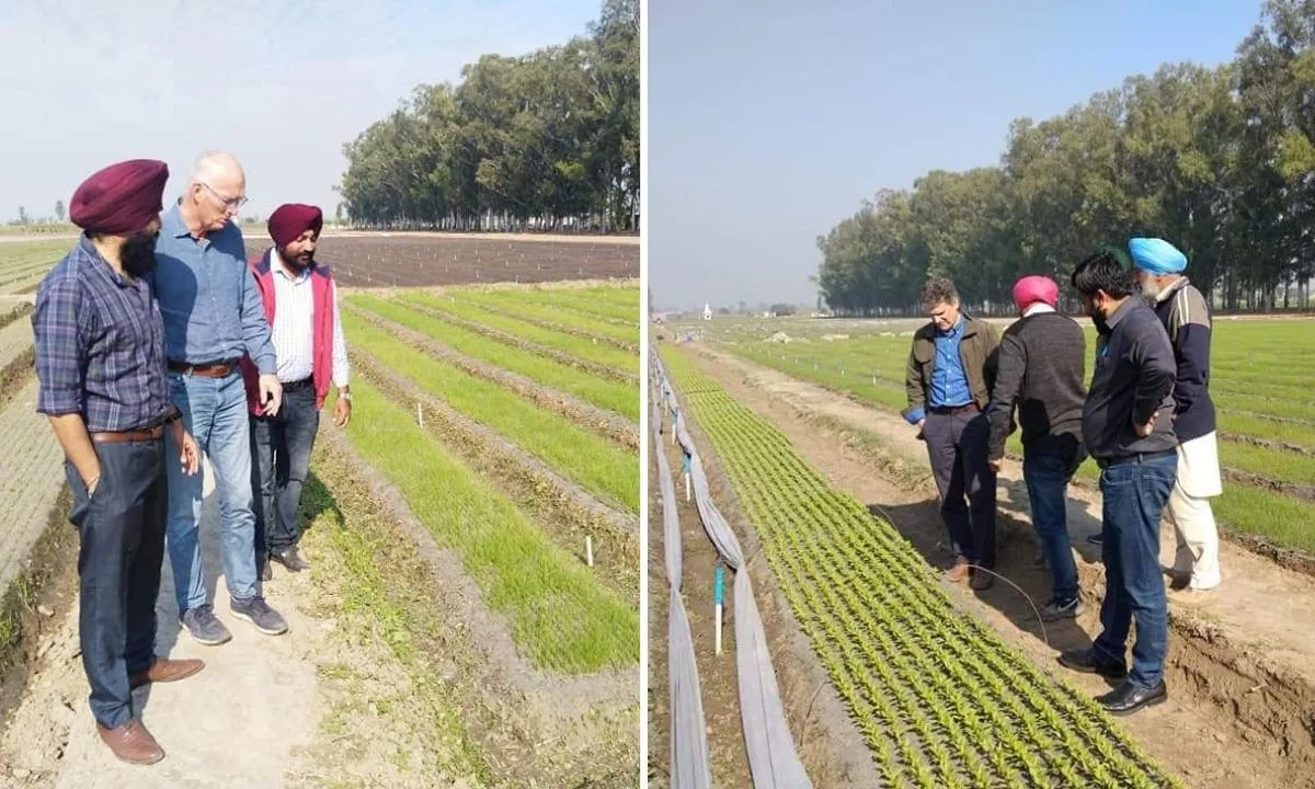 Haryana Nursery Farmer