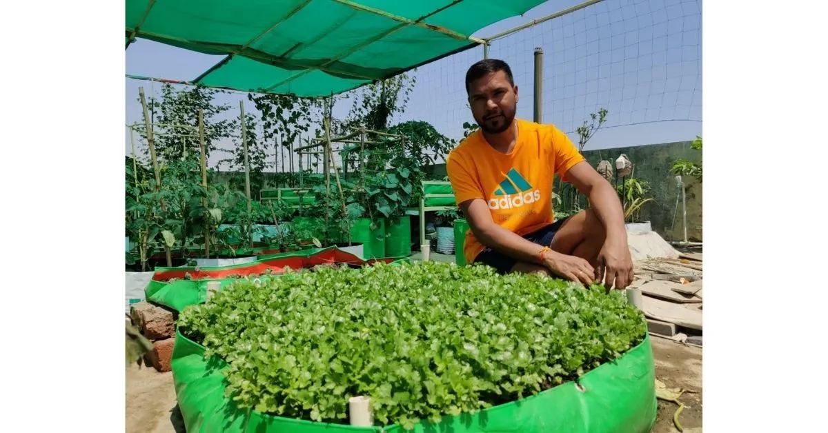 Compost From Potato Peels