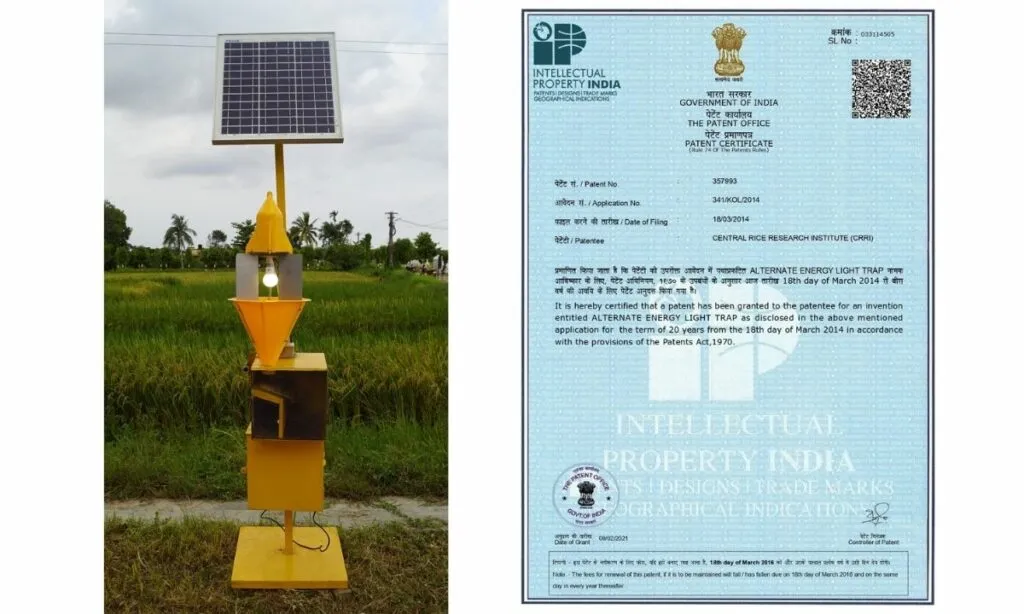NRRI Scientists Solar Innovation