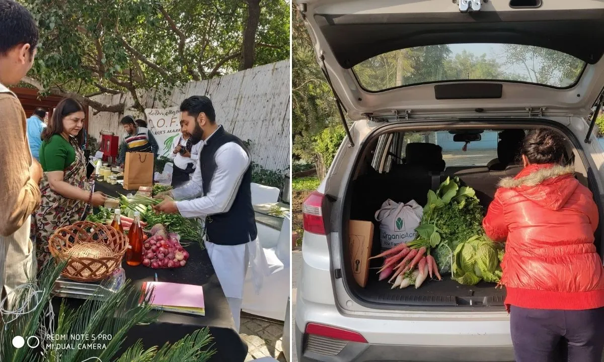 Organic Farming Success Story